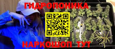 крисы Кумертау