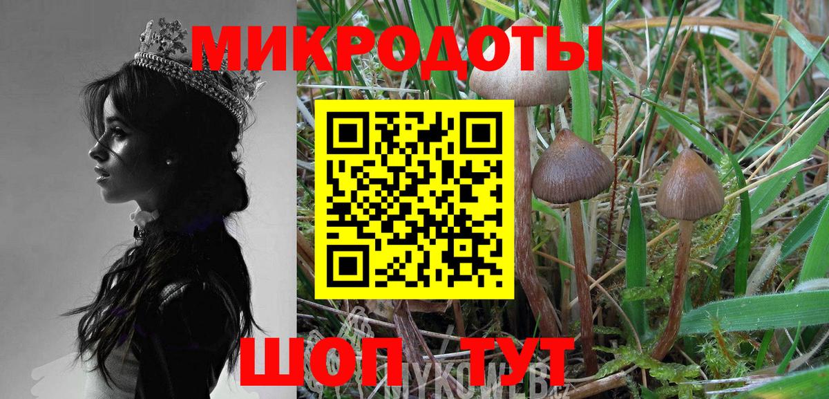 Галлюциногенные грибы Magic Shrooms Еманжелинск