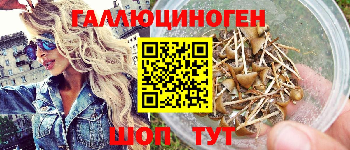 Еманжелинск  Галлюциногенные грибы Cubensis  Вход с VPN 